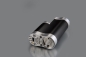Preview: dicodes - Dani SBS 21700